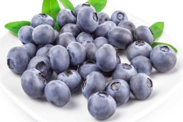 孕婦能吃藍(lán)莓嗎 來月經(jīng)可以吃藍(lán)莓嗎 孕婦能吃藍(lán)莓嗎 來月經(jīng)可以吃藍(lán)莓嗎