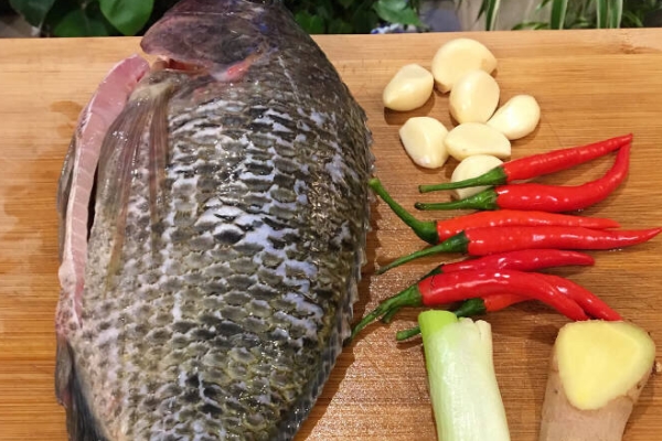 烤魚要腌嗎 必不可少的一步 烤魚要腌嗎 必不可少的一步