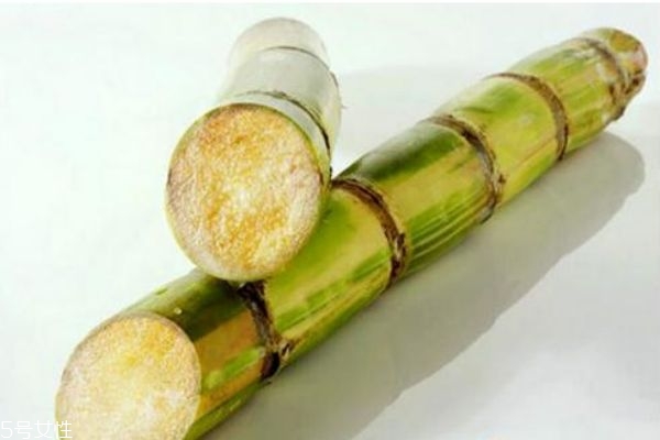 冬天吃什么水果好 冬季養(yǎng)生保健的小常識 冬天吃什么水果好 冬季養(yǎng)生保健的小常識