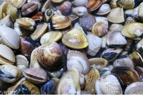 冬天吃什么海鮮好 冬天吃海鮮的禁忌 冬天吃什么海鮮好 冬天吃海鮮的禁忌