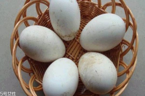 孕婦去胎毒最佳時間 孕晚期的時候開始 孕婦去胎毒最佳時間 孕晚期的時候開始