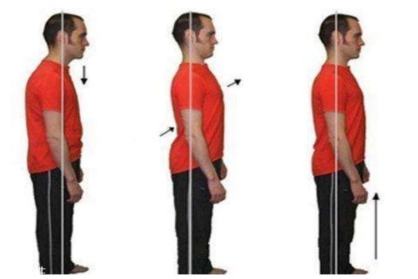 骨盆前傾的日常矯正 6個(gè)動作在家就可以練起來 骨盆前傾的日常矯正 6個(gè)動作在家就可以練起來