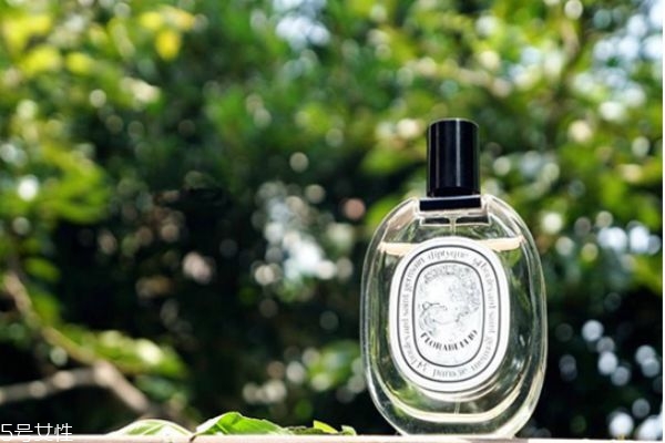 diptyque無(wú)花果好聞嗎 diptyque無(wú)花果香評(píng) diptyque無(wú)花果好聞嗎 diptyque無(wú)花果香評(píng)