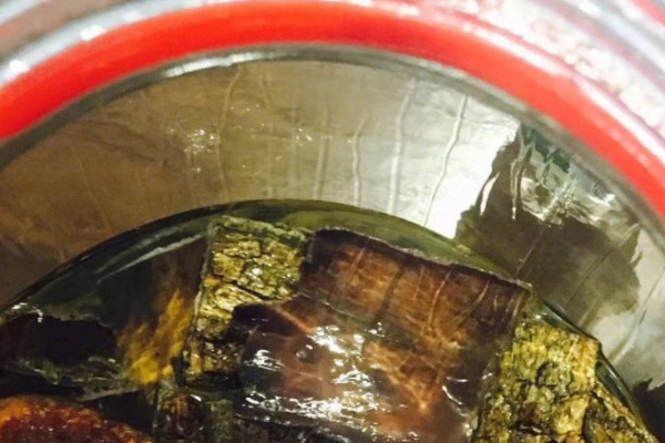 藥酒泡多久能喝 一個(gè)月足以 藥酒泡多久能喝 一個(gè)月足以