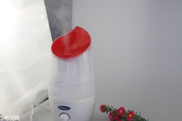 加濕器里可以放醋嗎 加濕器加醋能預防感冒嗎 加濕器里可以放醋嗎 加濕器加醋能預防感冒嗎