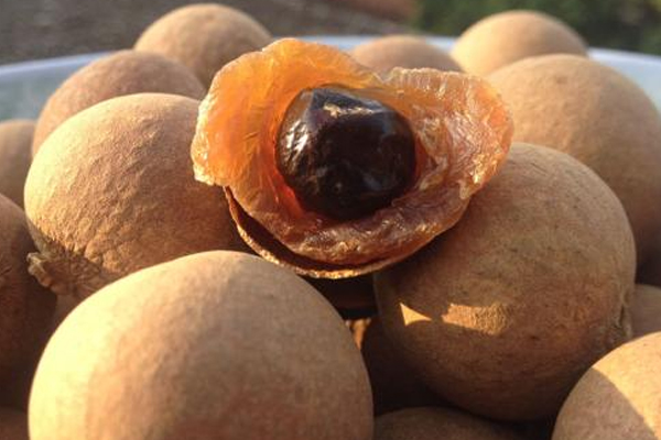 桂圓干產(chǎn)地哪里最好 3大產(chǎn)地各有優(yōu)點(diǎn) 桂圓干產(chǎn)地哪里最好 3大產(chǎn)地各有優(yōu)點(diǎn)