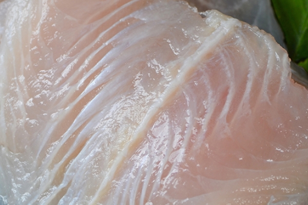 龍利魚怎么蒸 這樣蒸出來好美味 龍利魚怎么蒸 這樣蒸出來好美味