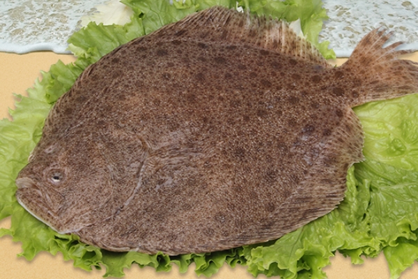 多寶魚(yú)怎么處理 按照這個(gè)方法準(zhǔn)沒(méi)錯(cuò) 多寶魚(yú)怎么處理 按照這個(gè)方法準(zhǔn)沒(méi)錯(cuò)