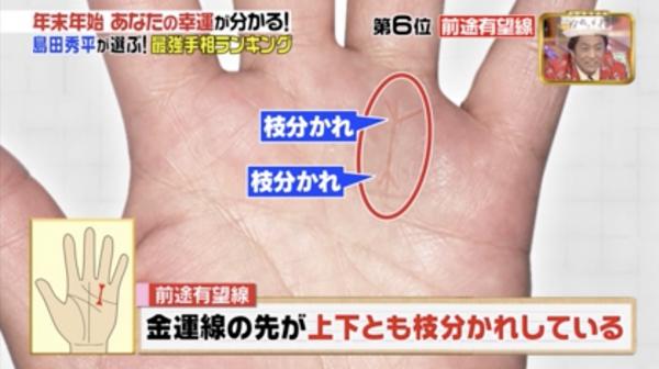 所羅門之星手相圖解 日本手相圖解大全 所羅門之星手相圖解 日本手相圖解大全