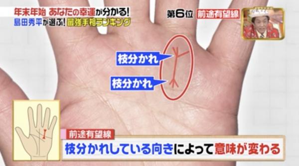 所羅門之星手相圖解 日本手相圖解大全 所羅門之星手相圖解 日本手相圖解大全