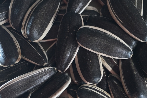 葵花籽有什么副作用 原來竟有這么多 葵花籽有什么副作用 原來竟有這么多