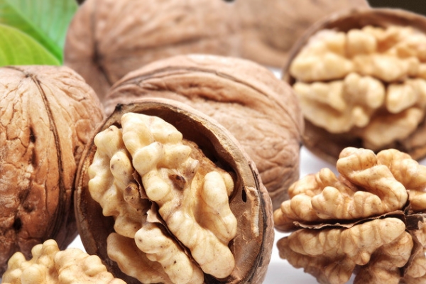 核桃為什么長毛 是霉變的原因 核桃為什么長毛 是霉變的原因