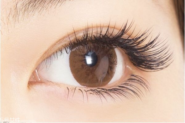嫁接睫毛怎么保持更長(zhǎng)時(shí)間 嫁接睫毛的詳細(xì)步驟 嫁接睫毛怎么保持更長(zhǎng)時(shí)間 嫁接睫毛的詳細(xì)步驟