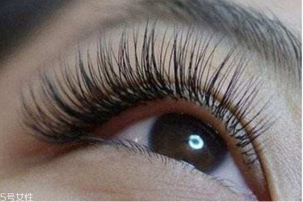 嫁接睫毛怎么保持更長(zhǎng)時(shí)間 嫁接睫毛的詳細(xì)步驟 嫁接睫毛怎么保持更長(zhǎng)時(shí)間 嫁接睫毛的詳細(xì)步驟