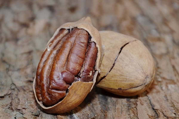 碧根果吃法 教你美味吃法 碧根果吃法 教你美味吃法