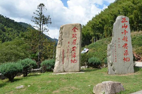 正山小種多少錢一斤 好貨都不便宜 正山小種多少錢一斤 好貨都不便宜