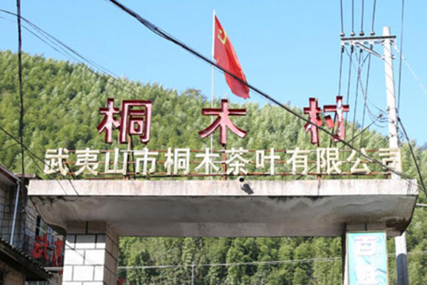 正山小種哪個產(chǎn)地最正宗 天選之地在這里 正山小種哪個產(chǎn)地最正宗 天選之地在這里