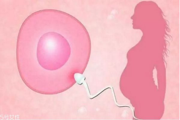 輸卵管堵塞還可以排卵嗎 輸卵管堵塞的癥狀 輸卵管堵塞還可以排卵嗎 輸卵管堵塞的癥狀