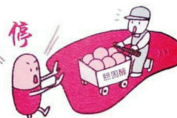 膽固醇偏高的人飲食要注意不然有危險 膽固醇偏高的人飲食要注意不然有危險