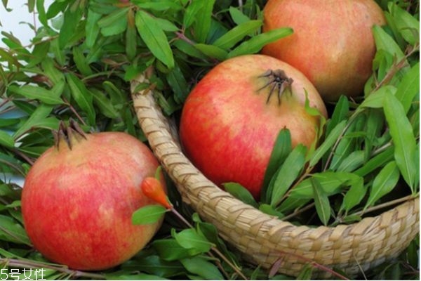 懷孕了可以吃石榴嗎 石榴全身都是寶 懷孕了可以吃石榴嗎 石榴全身都是寶