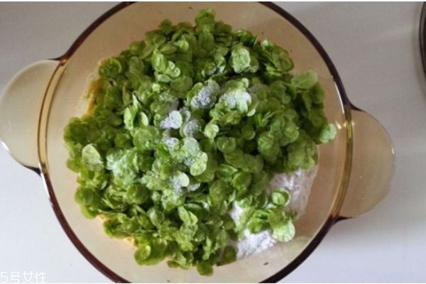 榆錢怎么做好吃 榆錢怎么做 榆錢怎么做好吃 榆錢怎么做