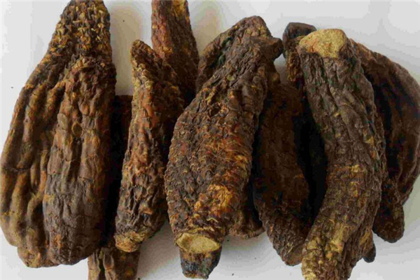 肉蓯蓉來月經(jīng)可以吃嗎 有調(diào)理作用 肉蓯蓉來月經(jīng)可以吃嗎 有調(diào)理作用