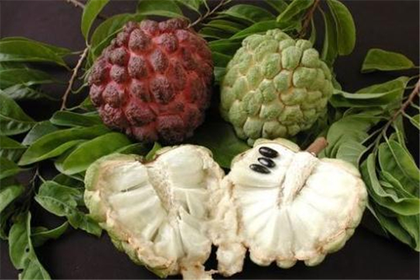 釋迦果什么時(shí)候吃最好 建議早上食用 釋迦果什么時(shí)候吃最好 建議早上食用