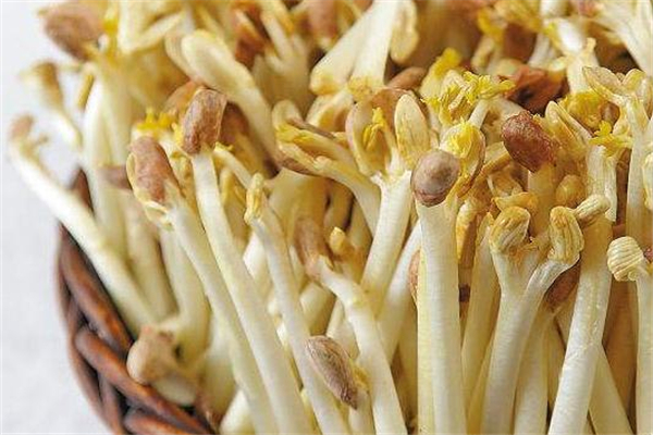 花生芽小孩可以吃嗎 對小孩好處多 花生芽小孩可以吃嗎 對小孩好處多