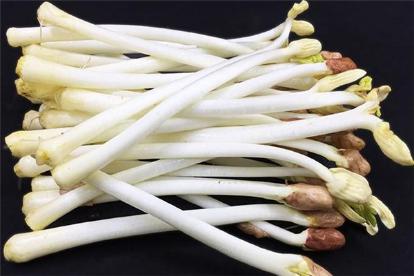 花生芽發(fā)綠了還能吃嗎 最好是扔掉 花生芽發(fā)綠了還能吃嗎 最好是扔掉