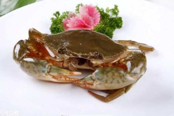 三門青蟹的營(yíng)養(yǎng)價(jià)值 三門青蟹和越南青蟹的區(qū)別 三門青蟹的營(yíng)養(yǎng)價(jià)值 三門青蟹和越南青蟹的區(qū)別