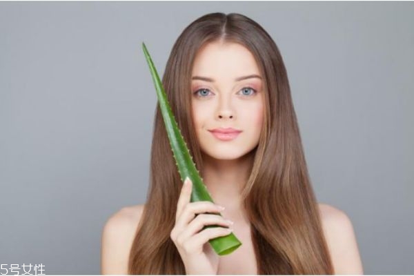 蘆薈能補水嗎 天天用蘆薈擦臉好不好 蘆薈能補水嗎 天天用蘆薈擦臉好不好