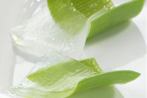 蘆薈擦臉多久后要洗掉 新鮮蘆薈涂臉正確方法 蘆薈擦臉多久后要洗掉 新鮮蘆薈涂臉正確方法