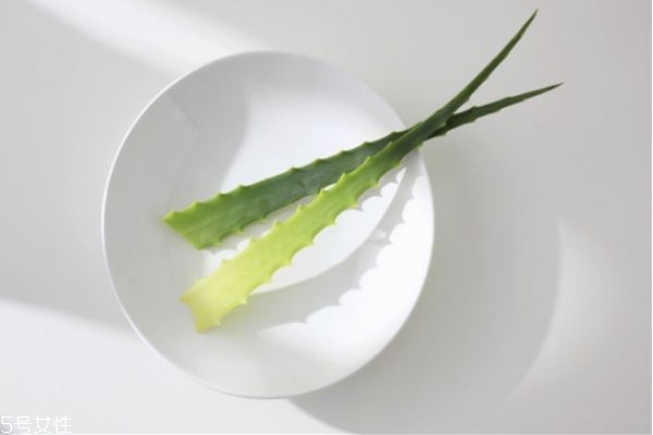 蘆薈擦臉多久后要洗掉 新鮮蘆薈涂臉正確方法 蘆薈擦臉多久后要洗掉 新鮮蘆薈涂臉正確方法