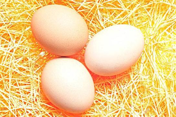 寶寶吃雞蛋能提高智力嗎 寶寶吃雞蛋能提高智力嗎