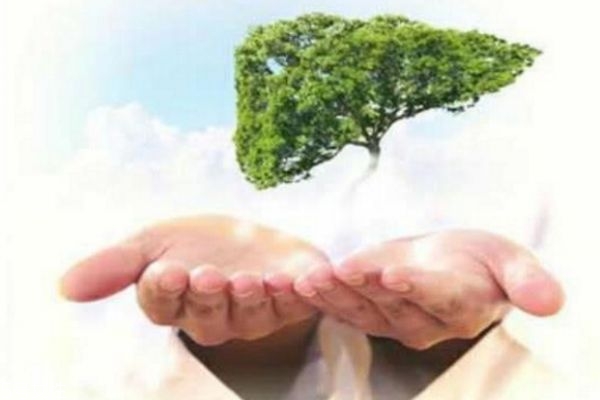 乙肝癥狀 自測(cè)自己有沒有得乙肝 乙肝癥狀 自測(cè)自己有沒有得乙肝