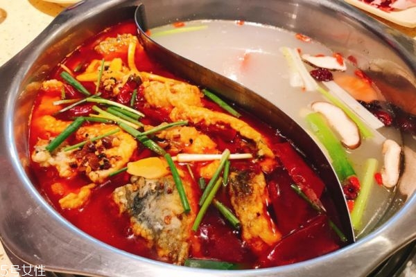 魚肉怎么做好吃 魚肉食譜大全 魚肉怎么做好吃 魚肉食譜大全