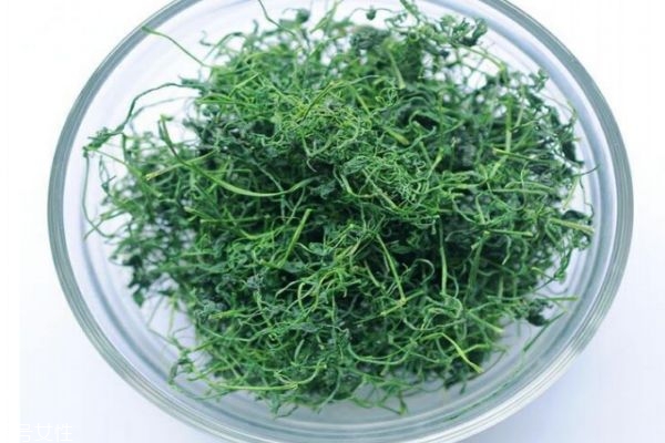 絞股藍泡水苦嗎 絞股藍茶什么味道 絞股藍泡水苦嗎 絞股藍茶什么味道