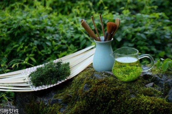 絞股藍有減肥功效嗎 喝絞股藍茶需注意 絞股藍有減肥功效嗎 喝絞股藍茶需注意