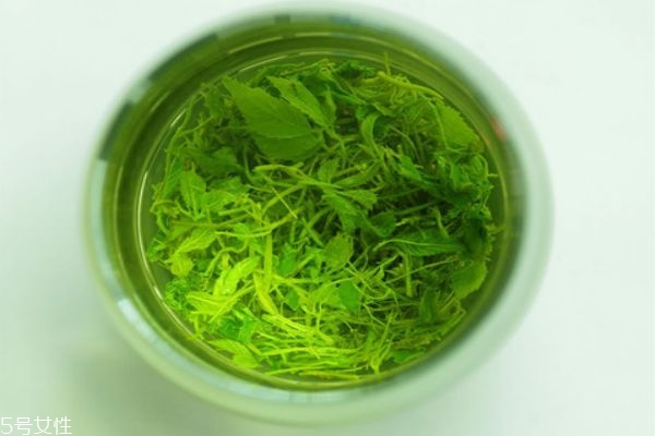 絞股藍(lán)差屬于什么茶 如何挑選絞股藍(lán)茶 絞股藍(lán)差屬于什么茶 如何挑選絞股藍(lán)茶