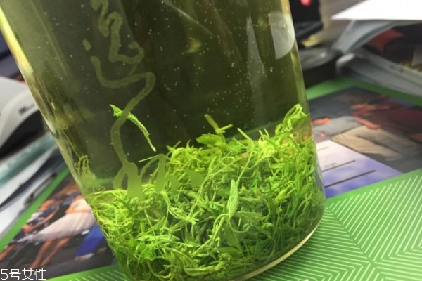 絞股藍龍須茶降血壓嗎 絞股藍茶正確的飲用方法 絞股藍龍須茶降血壓嗎 絞股藍茶正確的飲用方法