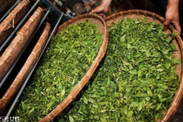 茶葉水泡腳能去腳臭嗎 茶葉泡腳的正確方法 茶葉水泡腳能去腳臭嗎 茶葉泡腳的正確方法