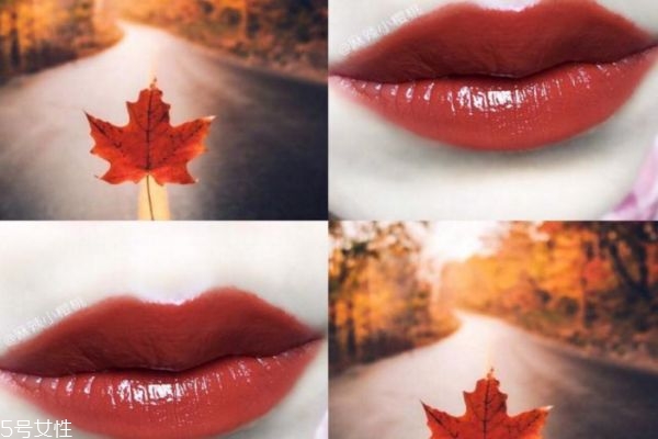 楓葉色口紅哪款比較火 楓葉色口紅適合什么人 楓葉色口紅哪款比較火 楓葉色口紅適合什么人