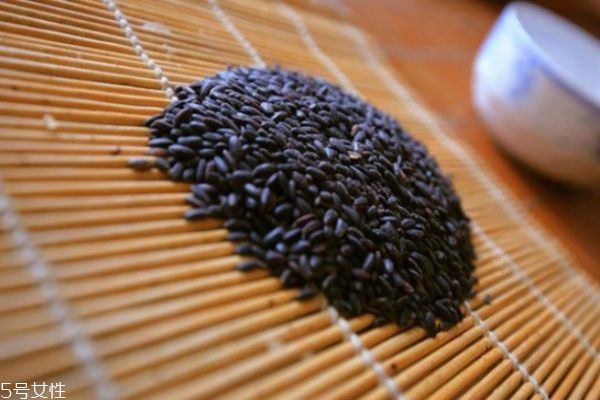 黑米怎么辨別真假 黑米真假辨別有高招 黑米怎么辨別真假 黑米真假辨別有高招