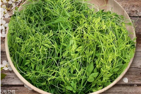 絞股藍(lán)茶哪個(gè)好 哪里產(chǎn)的絞股藍(lán)茶好 絞股藍(lán)茶哪個(gè)好 哪里產(chǎn)的絞股藍(lán)茶好