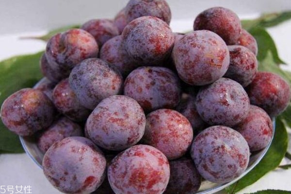 西梅吃多了會怎么樣 食用要適量 西梅吃多了會怎么樣 食用要適量