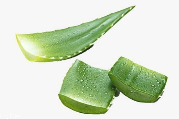 蘆薈罐膚可以天天做嗎 蘆薈灌膚多久做一次 蘆薈罐膚可以天天做嗎 蘆薈灌膚多久做一次