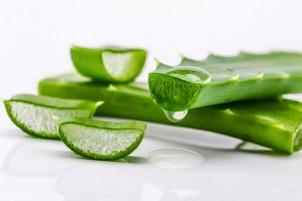 蘆薈灌膚怎么做 蘆薈灌膚的步驟 蘆薈灌膚怎么做 蘆薈灌膚的步驟