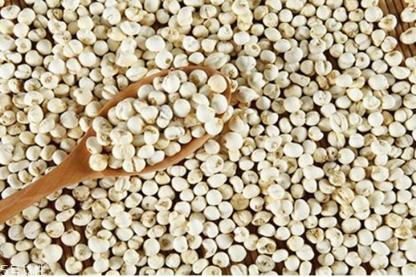 孕婦能吃川貝嗎 川貝孕婦一次吃多少克 孕婦能吃川貝嗎 川貝孕婦一次吃多少克