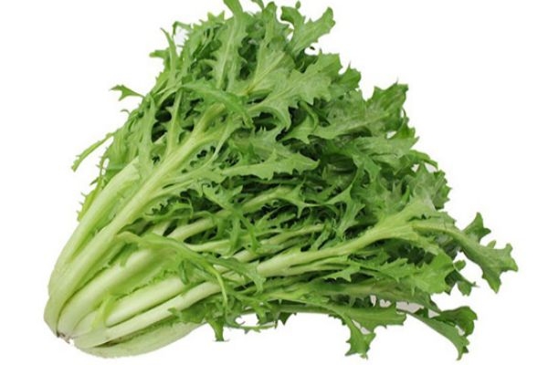 孕婦能吃苦菊嗎 孕婦適量吃苦菊有好處 孕婦能吃苦菊嗎 孕婦適量吃苦菊有好處