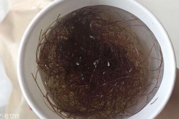 玉米須可以吃嗎 玉米須可以抗溶血 玉米須可以吃嗎 玉米須可以抗溶血